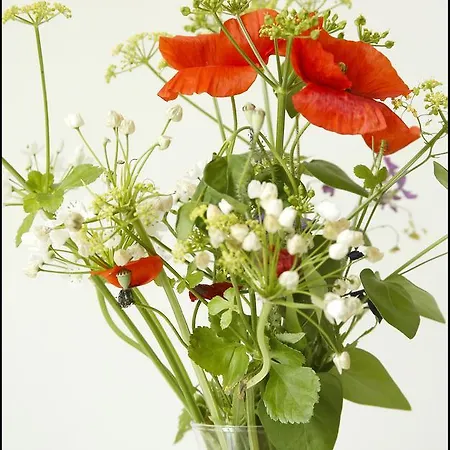 La Maison Rouge D'uzes Uzès
